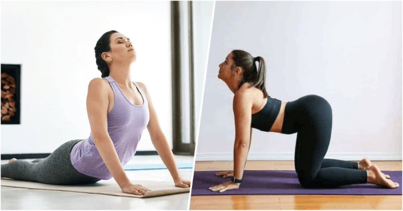 What’s the Best Time To Do Yoga During The Day?