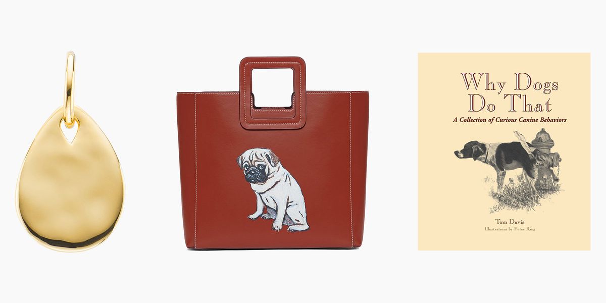 13 Gift Ideas For People Who Like Dogs More Than